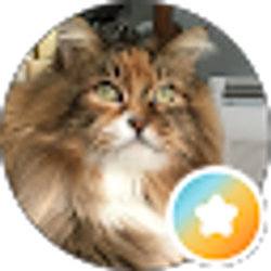 Profile photo of Zooey Kitty Kat