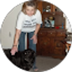 Profile photo of Judy Taylor