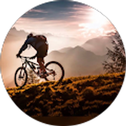 Profile photo of Alfonso AVELAR