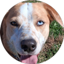 Profile photo of Chrissy