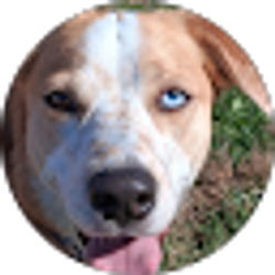 Profile photo of Chrissy