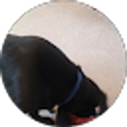 Profile photo of Scott Williams