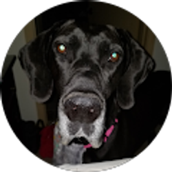 Profile photo of Melissa Bizeau