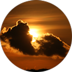 Profile photo of Sam Fernsell