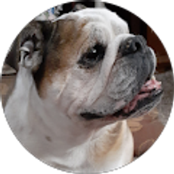 Profile photo of Vicky Hotz