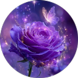 Profile photo of M J