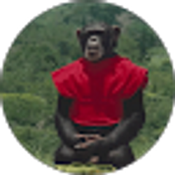 Profile photo of Rahim