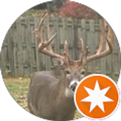 Profile photo of Michael Kocsis