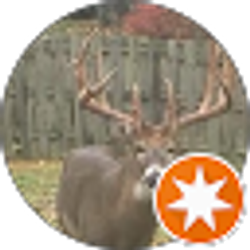 Profile photo of Michael Kocsis