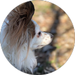 Profile photo of April Richard