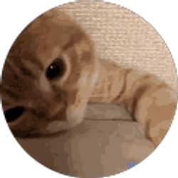 Profile photo of Gold F1sh