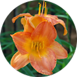 Profile photo of Debby LaPierre