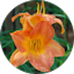 Profile photo of Debby LaPierre