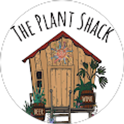Profile photo of Kristy Sanford (The Plant Shack)