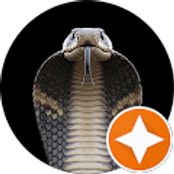 Profile photo of JOSE F ROMAN