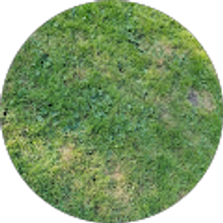 Profile photo of Pawan