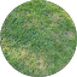Profile photo of Pawan