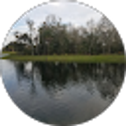 Profile photo of Liliana Silva