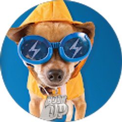 Profile photo of Mikey Bartholomew