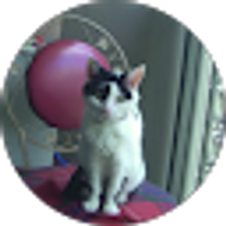 Profile photo of sadiethecat