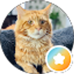 Profile photo of Angel C.