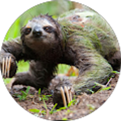 Profile photo of Dan Sikorski