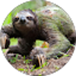 Profile photo of Dan Sikorski