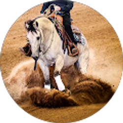 Profile photo of Gina Andersen