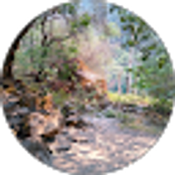 Profile photo of Kathleen Dobson