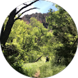 Profile photo of Kyan Roth