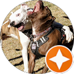 Profile photo of Mark Bystrek