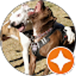 Profile photo of Mark Bystrek