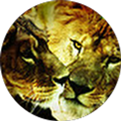 Profile photo of Tswana Brown