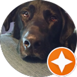 Profile photo of Hope Gilbert