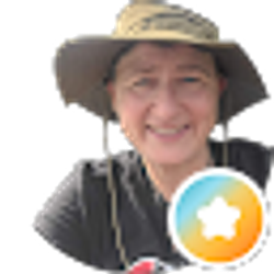Profile photo of Sue Gerlach