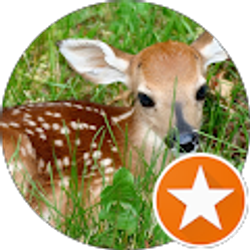 Profile photo of Leticia Montes