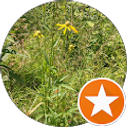 Profile photo of Carol Thomas