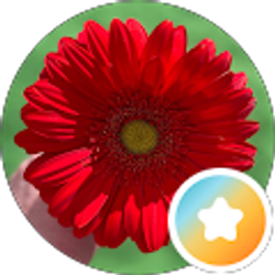 Profile photo of Whitney Hurst