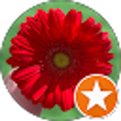 Profile photo of Whitney Hurst