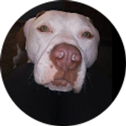 Profile photo of Michael Noethen