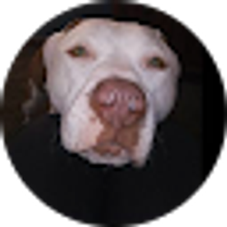 Profile photo of Michael Noethen