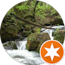 Profile photo of Z M