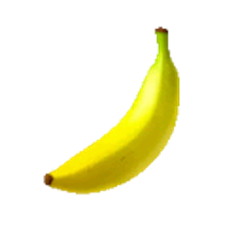 Profile photo of arielle cole