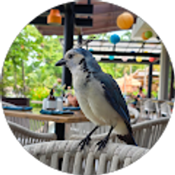 Profile photo of Natasha Jones