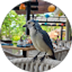 Profile photo of Natasha Jones