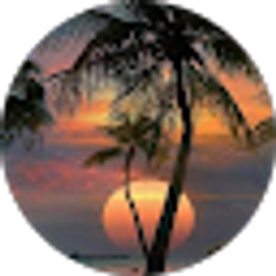 Profile photo of Lisa Willis