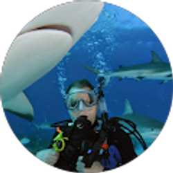 Profile photo of Jim Burgess