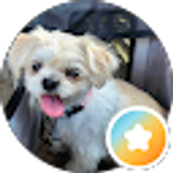 Profile photo of S B