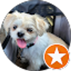 Profile photo of S B