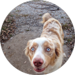 Profile photo of Darin Carter